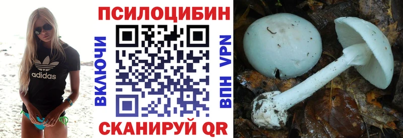Галлюциногенные грибы мицелий  Купить закладки  Шахунья 